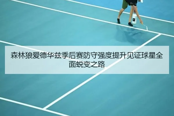 森林狼爱德华兹季后赛防守强度提升见证球星全面蜕变之路